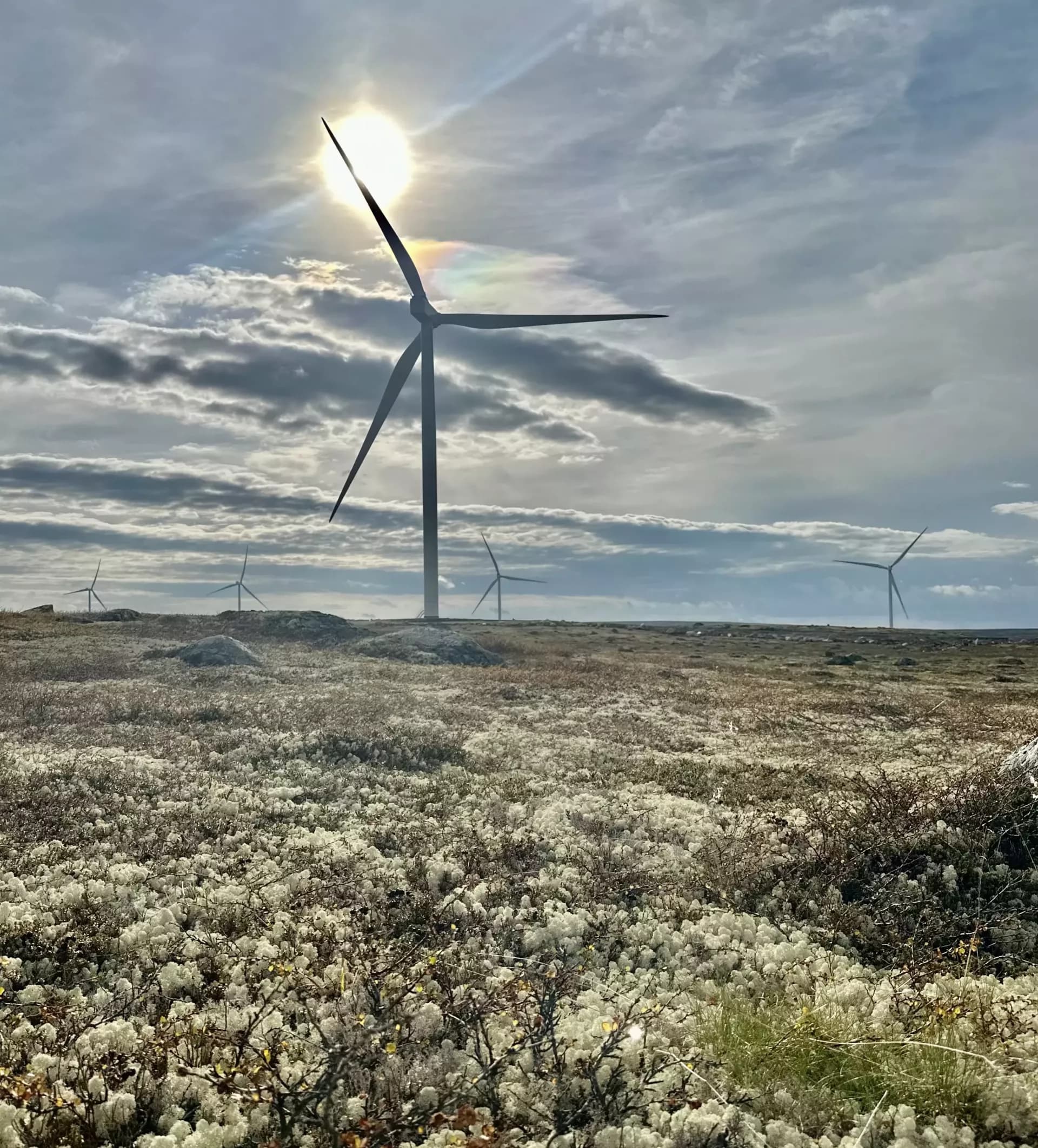  Самый мощный в мире ветропарк за Полярным кругом